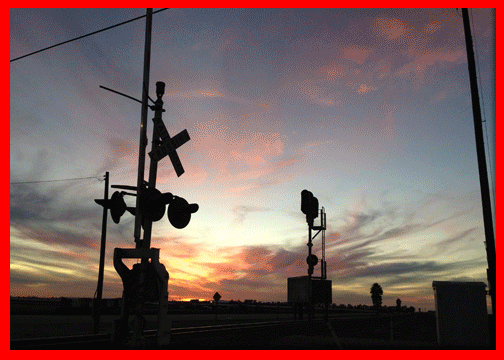 For The Love Of Skies