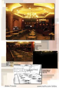 Shilpa Tripathi Art Portfolio 2010