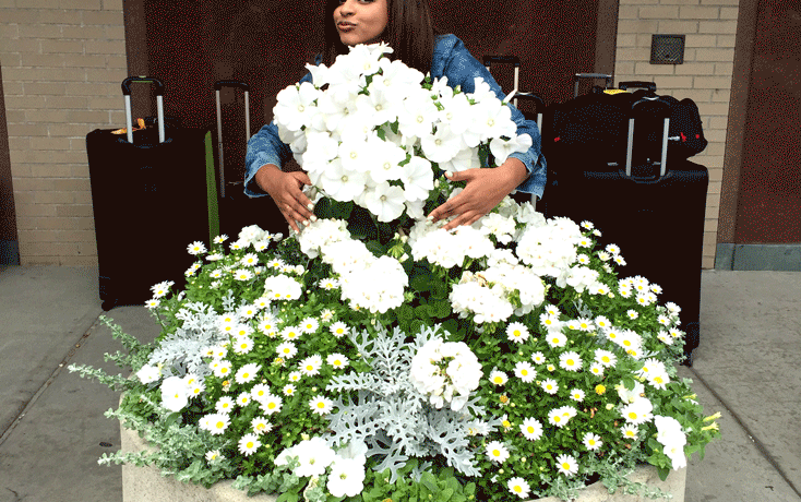 ShilpaTripathi_PermissionToBeKind