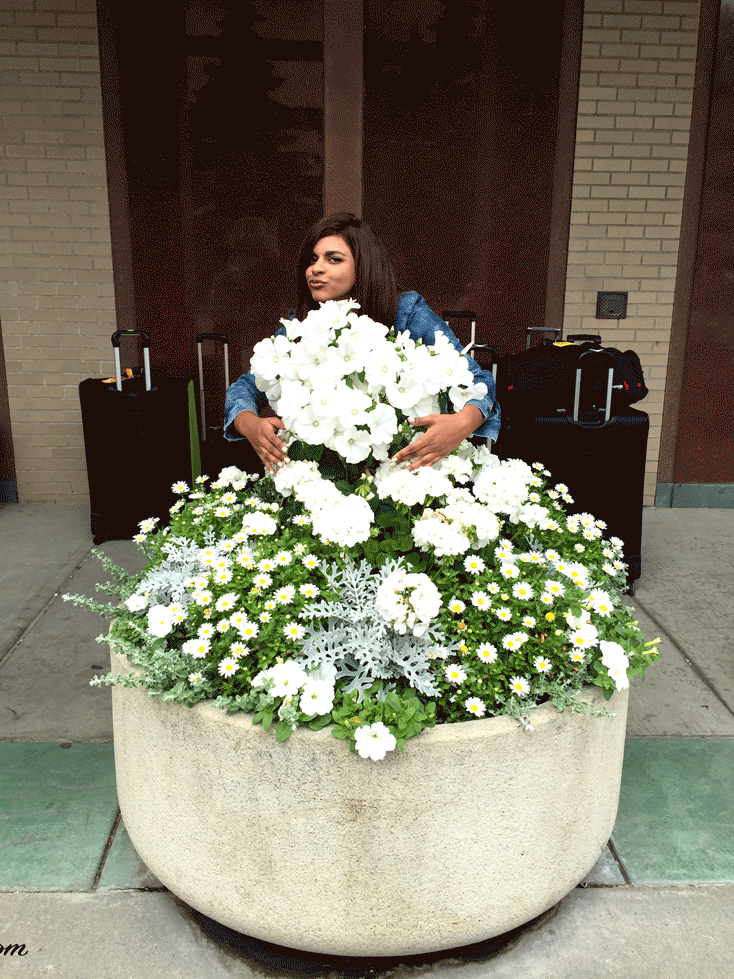 ShilpaTripathi_PermissionToBeKind