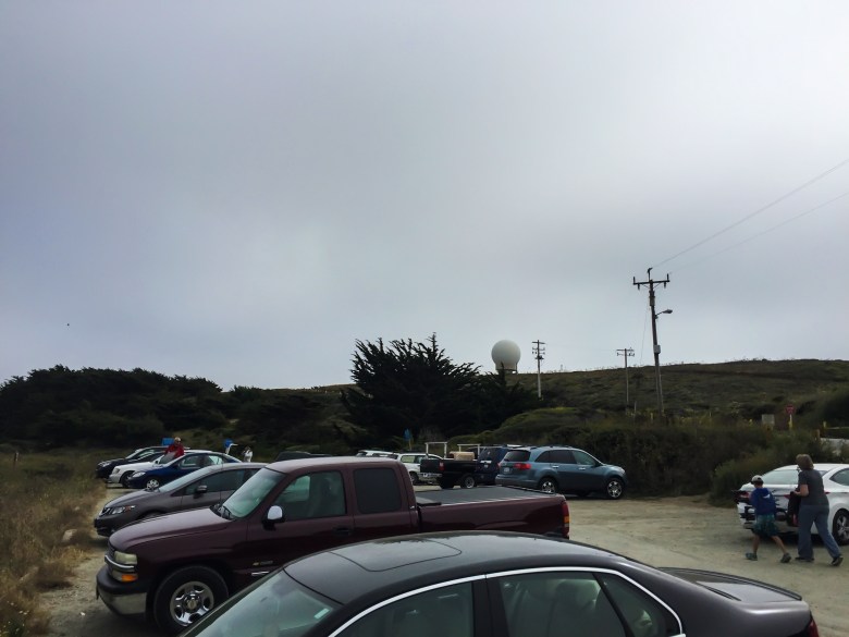 Shilpa_Tripathi_PCH_RoadTrip_sf - 1.jpg